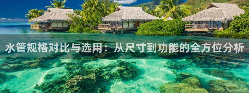 楚雄众腾娱乐