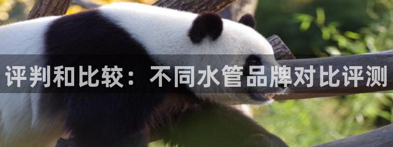 众腾娱乐app