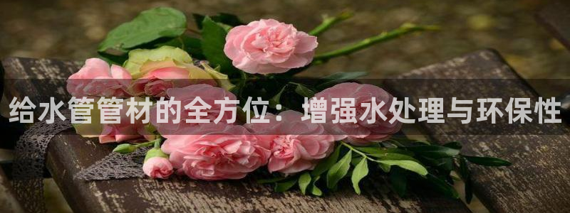 众腾娱乐登入探索无限空间