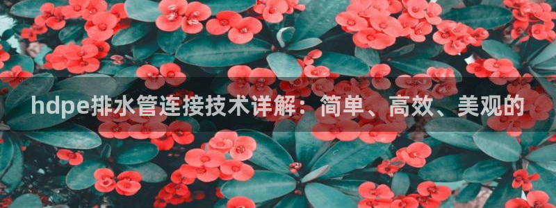 众腾娱乐梦幻演艺店