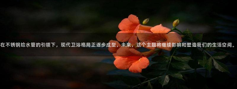 包头众腾娱乐密室逃脱