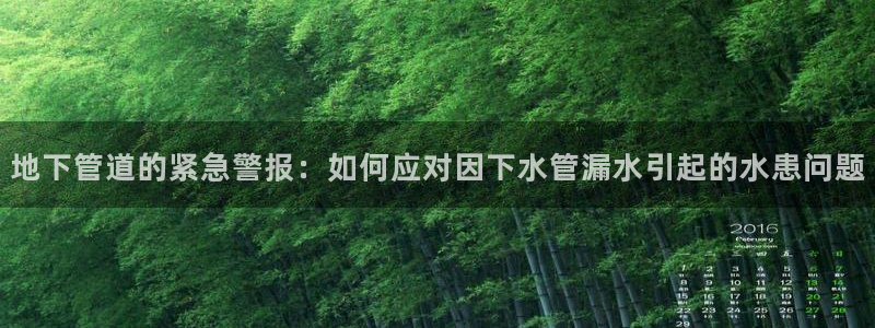 腾耀娱乐29999出众