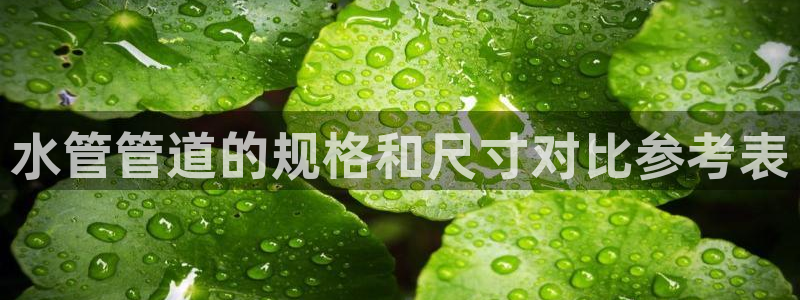 众腾娱乐公司简介