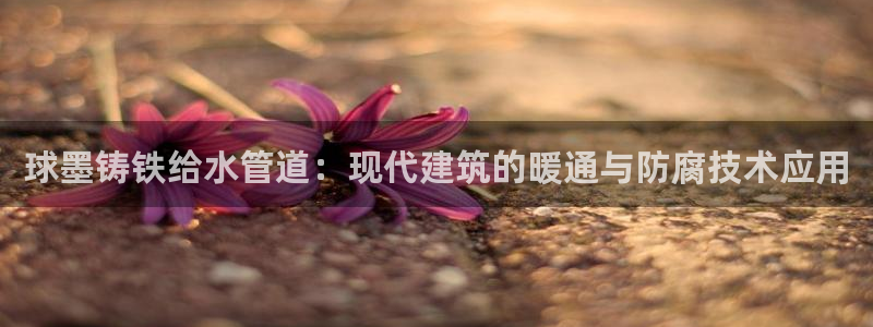 包头众腾娱乐密室逃脱