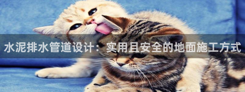 众腾娱乐文化怎么样