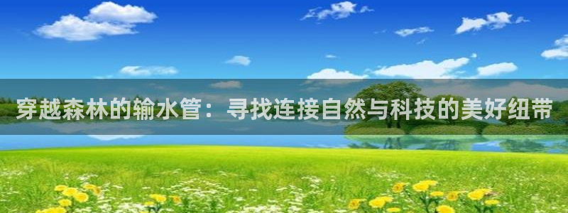 众联别墅g座上腾娱乐有限公司