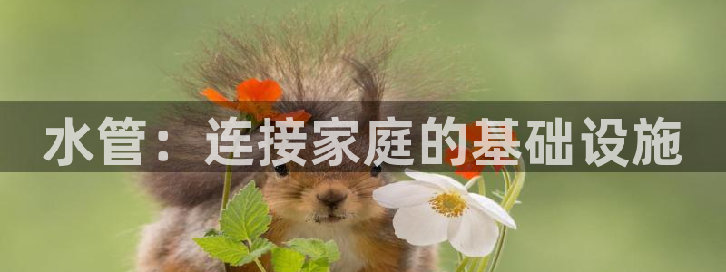 众腾娱乐邵阳