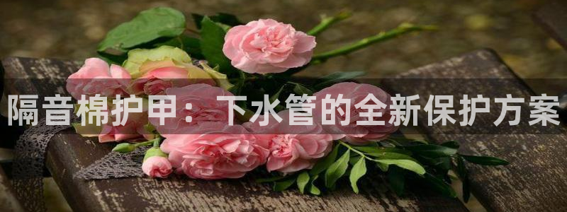 楚雄众腾娱乐在哪里