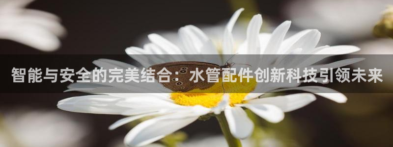 众腾娱乐公司简介