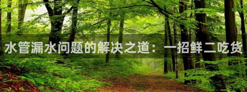 众腾娱乐招商