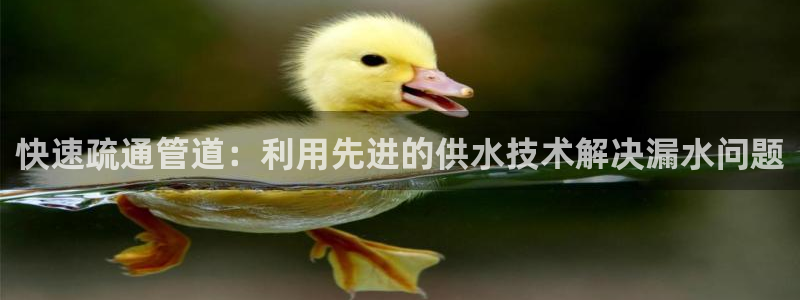 众腾娱乐文化怎么样