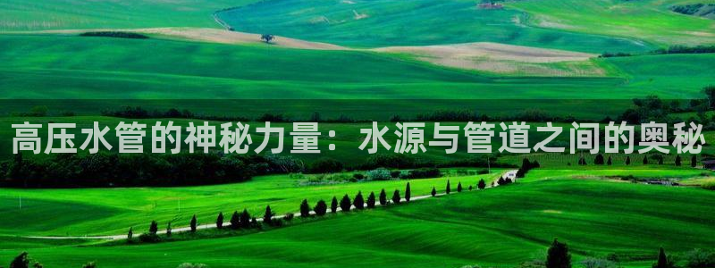 众腾娱乐平台下载