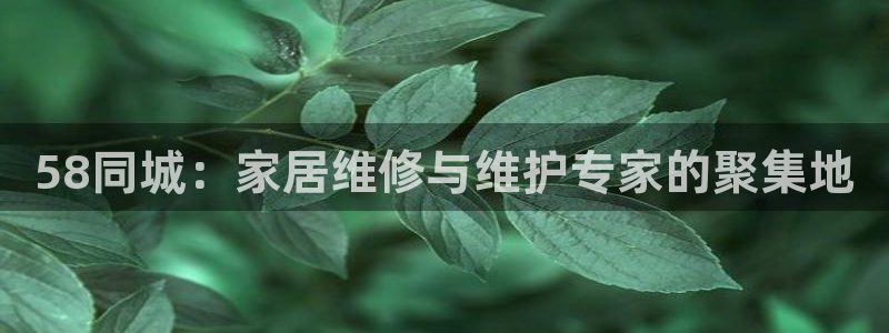 众腾娱乐毕 7O935