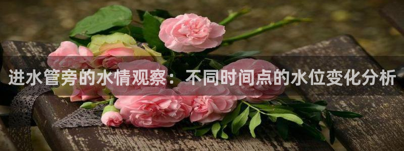 众腾娱乐app