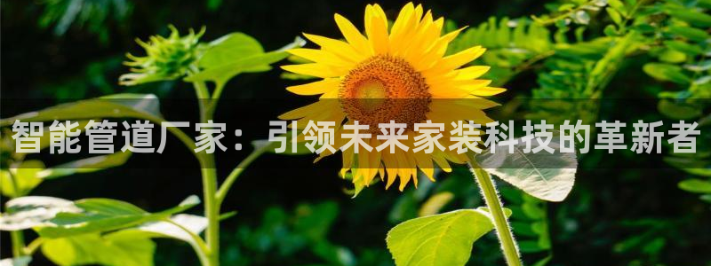 腾耀娱乐29999出众