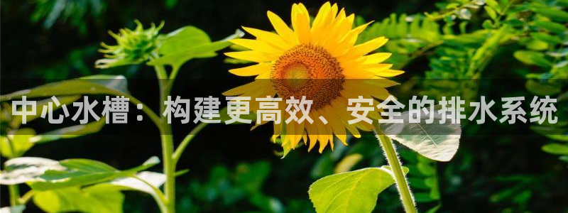 众腾娱乐总代理