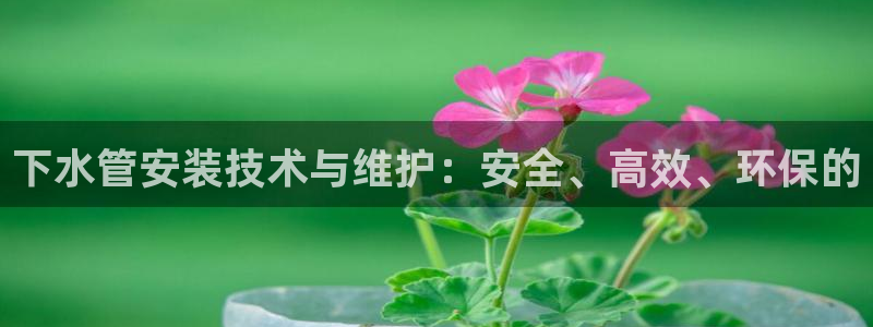 包头众腾娱乐密室逃脱