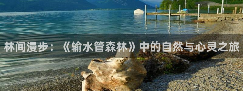 众腾娱乐登入探索无限空间