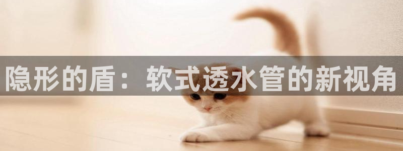 腾耀娱乐众推46996