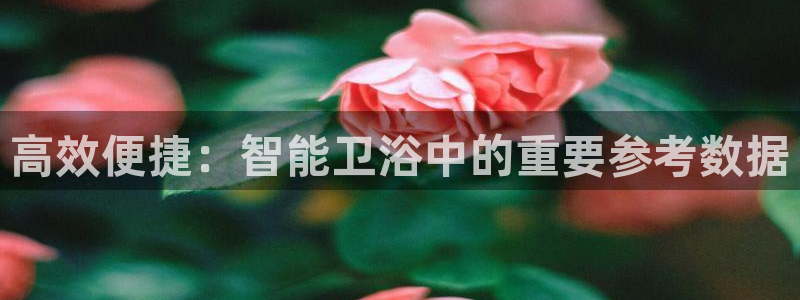 彝族自治州众腾娱乐