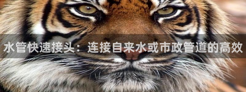腾众娱乐