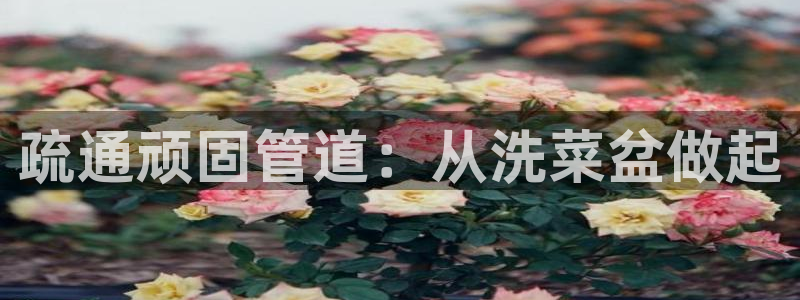 楚雄众腾娱乐在哪里