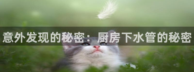 岳阳众腾ktv娱乐