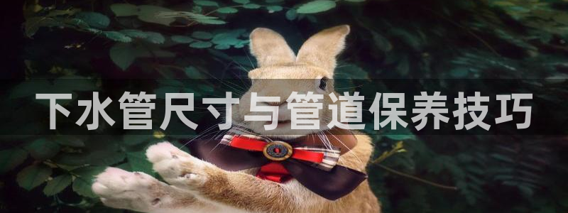 腾耀3娱乐众123