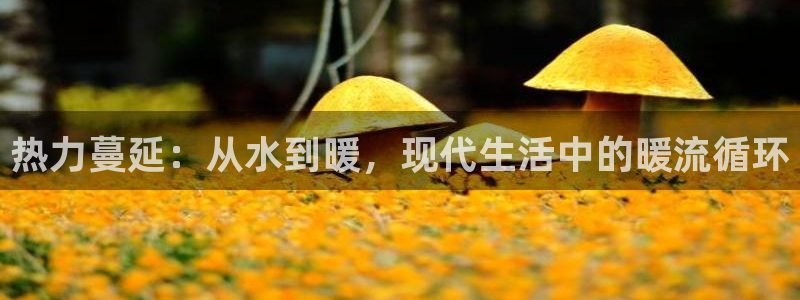 众腾娱乐app