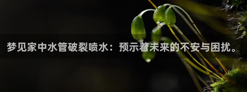 腾耀娱乐众推46996