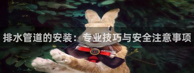众腾娱乐登入探索无限空间