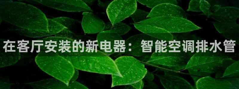 内蒙古众腾娱乐文化法人