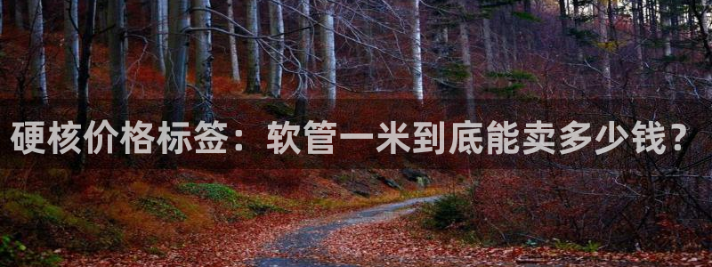 众联别墅g座上腾娱乐有限公司