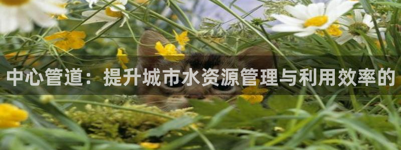 众腾娱乐总代理