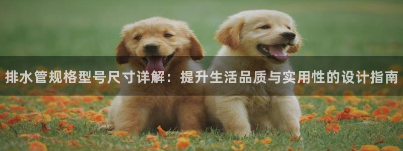 众腾娱乐扣款是正规的吗