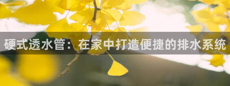 内蒙古众腾娱乐文化法人