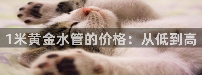 腾耀娱乐众推46996