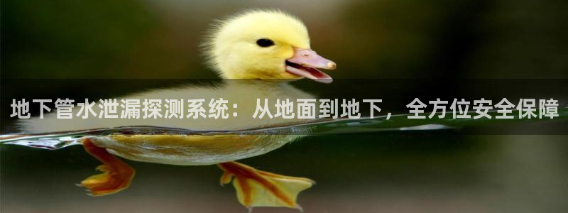 众腾娱乐文化怎么样