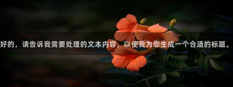 内蒙古众腾娱乐文化法人