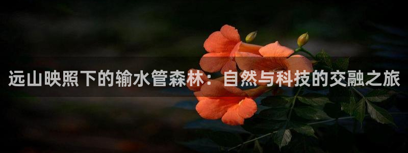 众腾娱乐平台