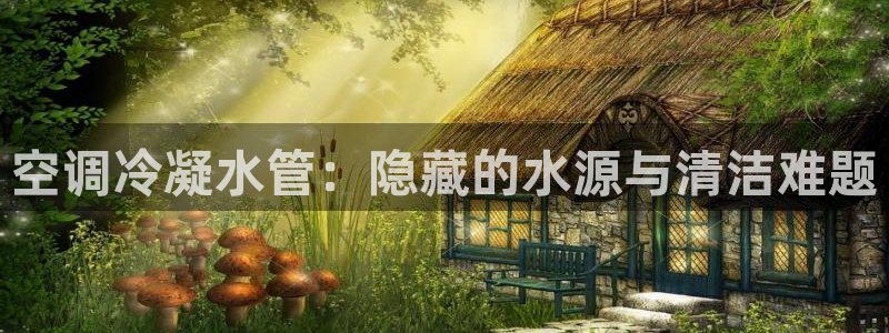 众腾娱乐开户