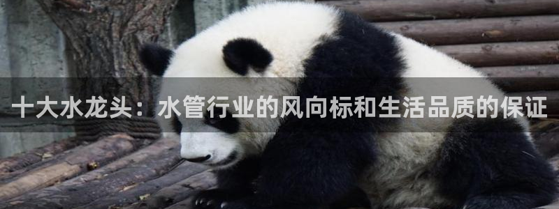众腾娱乐
