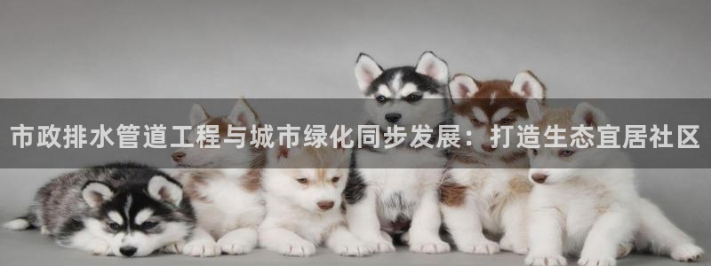 腾耀娱乐众推46996