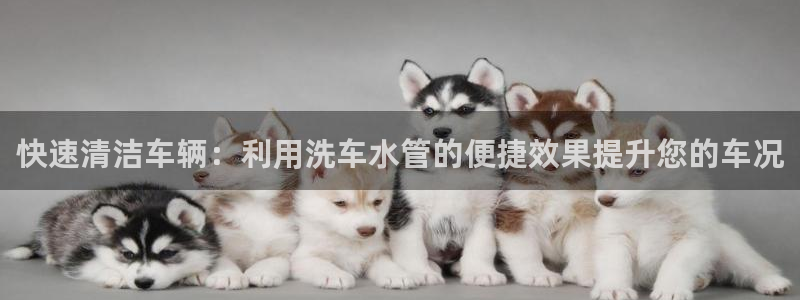 众腾娱乐集团有限公司