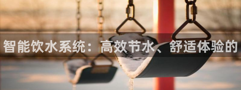 众腾娱乐登入探索无限空间