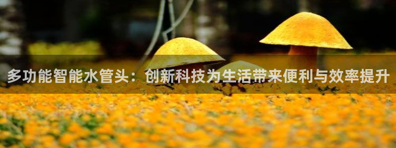 众腾娱乐总代理