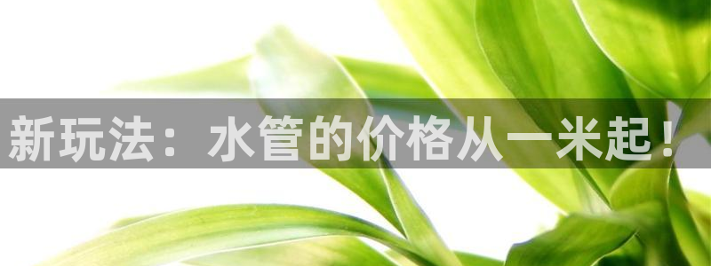 众腾娱乐平台下载