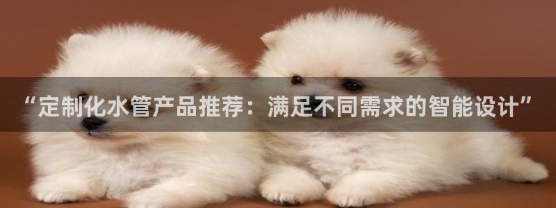 众腾娱乐文化怎么样