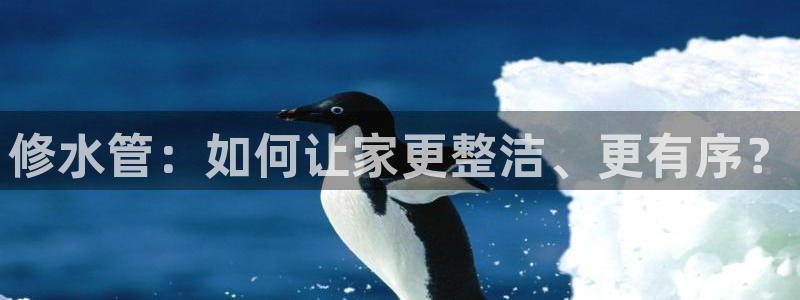 众腾娱乐平台官网入口