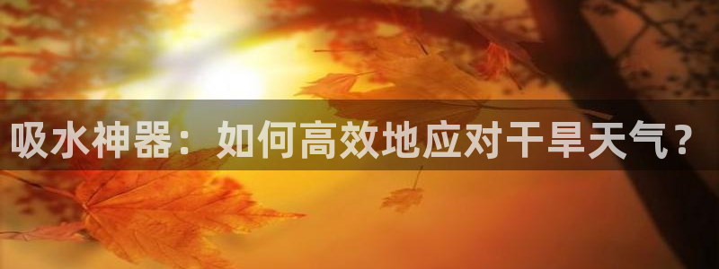 楚雄众腾娱乐是干什么的